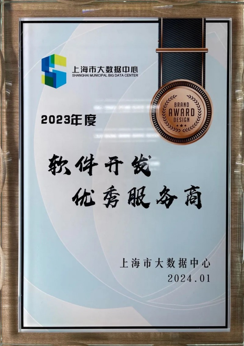上海软件开发行业：创新与挑战并存的时代趋势